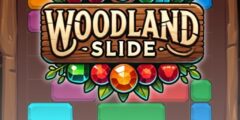 Woodland Slide